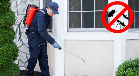 Karakoyunlu Bit İlaçlama böcek ilaçlama ve haşere kontrolü — ilaclama-tr.com